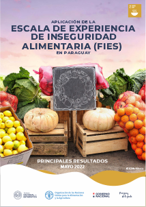 APLICACIÓN DE LA ESCALA DE EXPERIENCIA DE INSEGURIDAD ALIMENTARIA (FIES) EN PARAGUAY